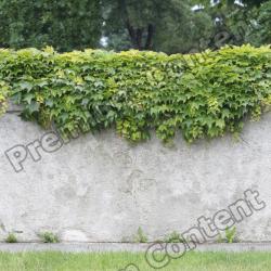 Seamless Hedge